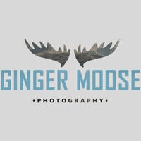 Local Business Ginger Moose Photography in Durango CO