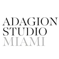 Local Business Adagion Studio in Aventura FL