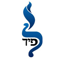 Local Business Lapid Judaism in Saginaw TX