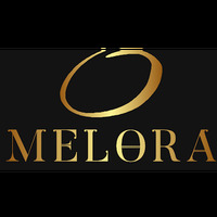 MELORA Health & Enhancement - owners Dr. Golfarb, Dr. Fred Himmelstein