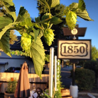 1850 Restaurant and Brewery