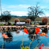 Local Business Salt & Stone in Kenwood CA