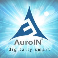 Local Business AuroIN in New York New York