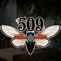 The 509 LLC