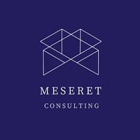 Local Business Meseret Consulting in Tampa FL