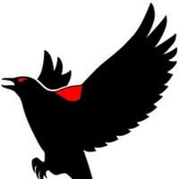 Blackbird e-Solutions, LLC