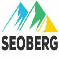 Local Business SEOBerg in Los Angeles CA