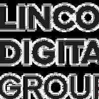 Local Business Lincoln Digital Group in West Palm Beach FL