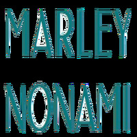 Local Business Marley Nonami Incorporated in Tampa FL