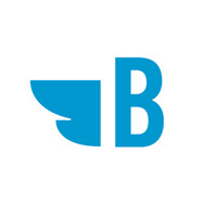 Bluebird Branding