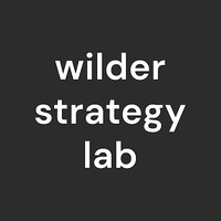 Wilder Strategy Lab - Marketing, Ads, CRM, Ai and Website Design