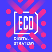 Local Business ECD Digital Strategy in Schenectady NY