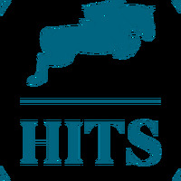 HITS LLC