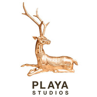 Local Business Playa Studios in Culver City CA