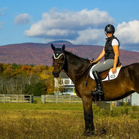 OZ FARM Equestrian and Events Facility