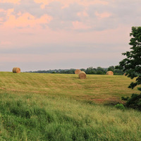 Local Business Honey Locust Farms, LLC in Morning View KY