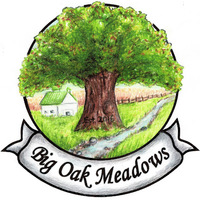 Local Business Big Oak Meadows in Burghill OH