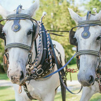 Local Business Neltner's Farm & Event Venue in Melbourne KY