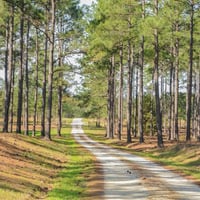 Local Business Auburn Oaks Farm in Notasulga AL