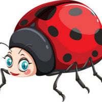 Ladybug Ranch LLC