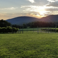 Broad Mountain Vineyard Event Venue