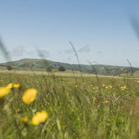 Local Business The Haven at Tomales in Tomales CA