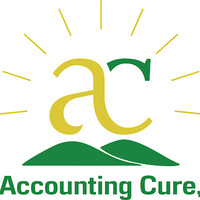 The Accounting Cure, LLC