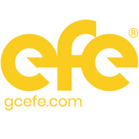 EFE Consulting Group