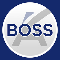 Local Business BOSS Advisors in Mesa AZ