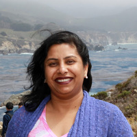 Sarita G Sharma CPA