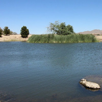 Local Business Caroli Lake Ranch in Oro Grande CA