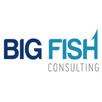 Local Business Big Fish Consulting in McKinney TX