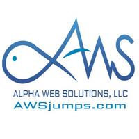 Alpha Web Solutions LLC