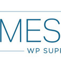 Local Business MESH WP Support in New City NY