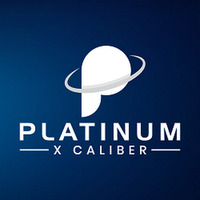 Platinum X Caliber Design Agency