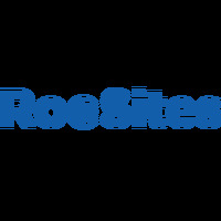 Local Business RooSites Web Development in Dunedin FL