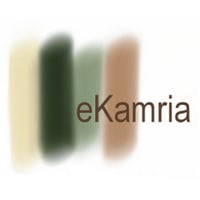 Local Business eKamria in Syracuse NY