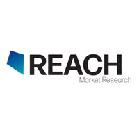 REACH Market Research