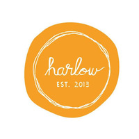 Local Business Studio by Harlow in Seattle WA