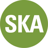 Local Business SKA Design in Pasadena CA