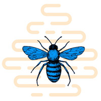 Blue Bee Bankruptcy Law